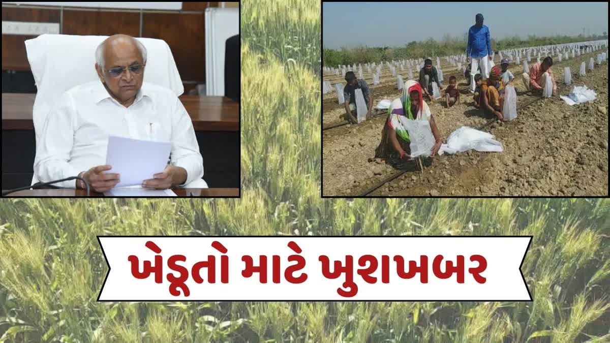 50 કરોડની જોગવાઈ સાથે વધુ એક નવી યોજના અમલમાં