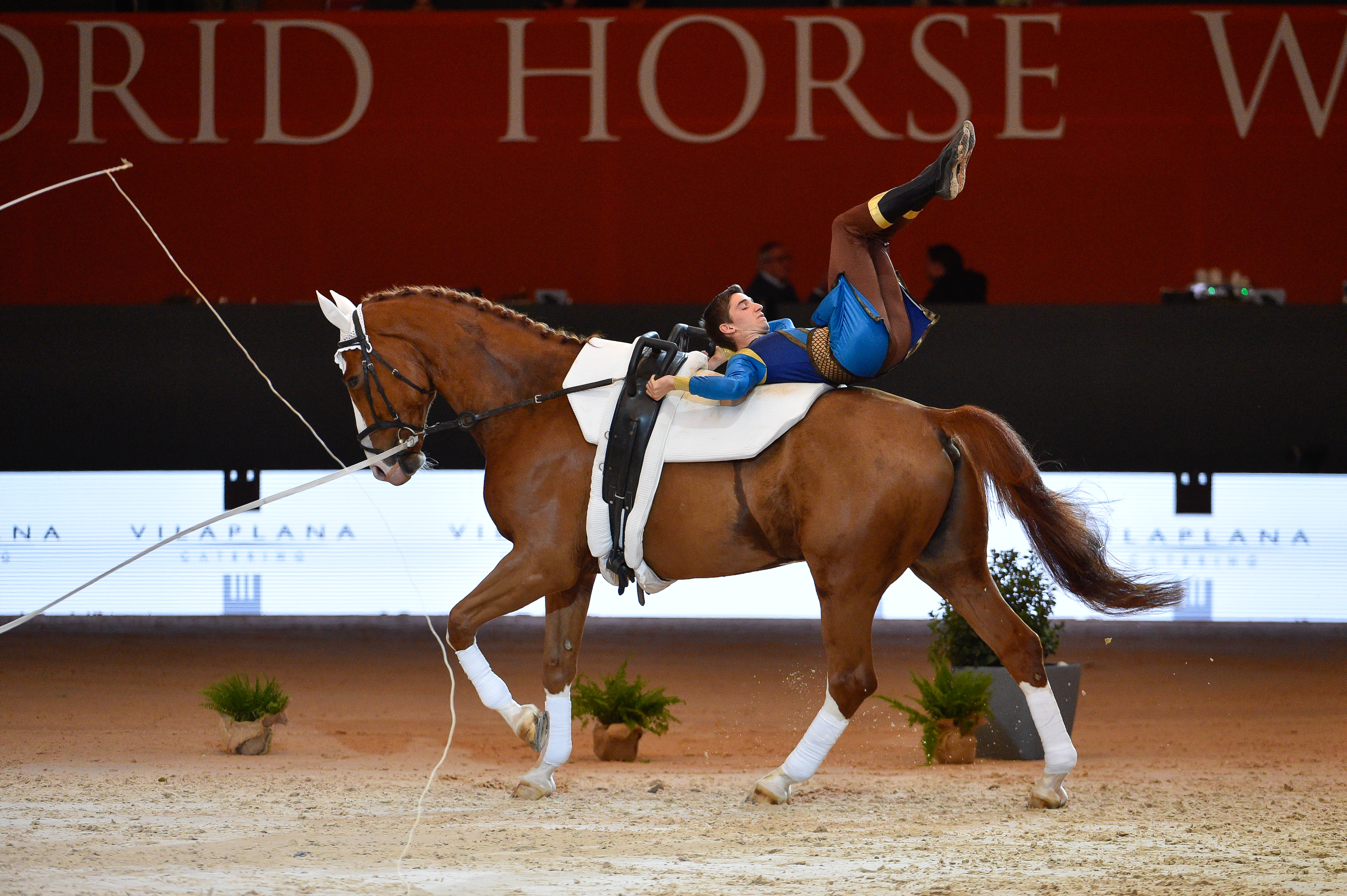 Equestrian Vaulting