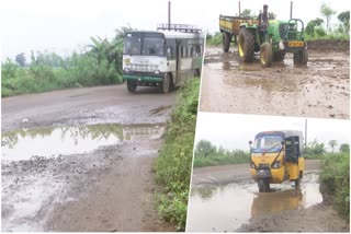 Public Facing Problems With Damaged Roads