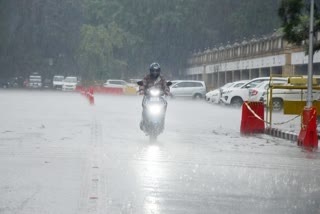 Haryana Monsoon Update