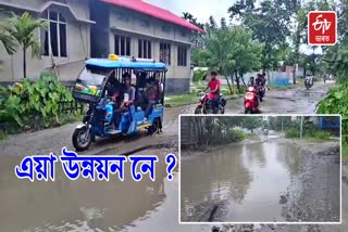 Dilapidated Road In Udalguri