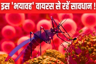 Chandipura Virus Cases