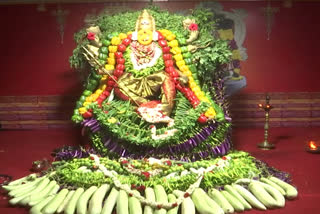 Shakambari Devi Festival has started