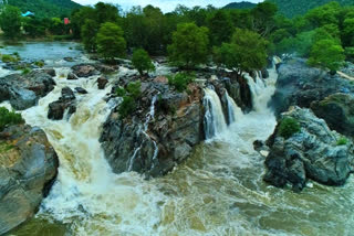 ஒகேனக்கல் காவிரி ஆறு