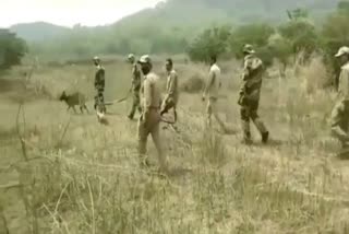 Corbett National Park Forest Workers