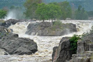 Heavy Water flow in Kaveri at Hogenakkal: No entry for tourists