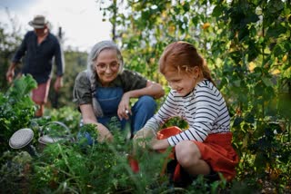 Problems and Solutions for Plants