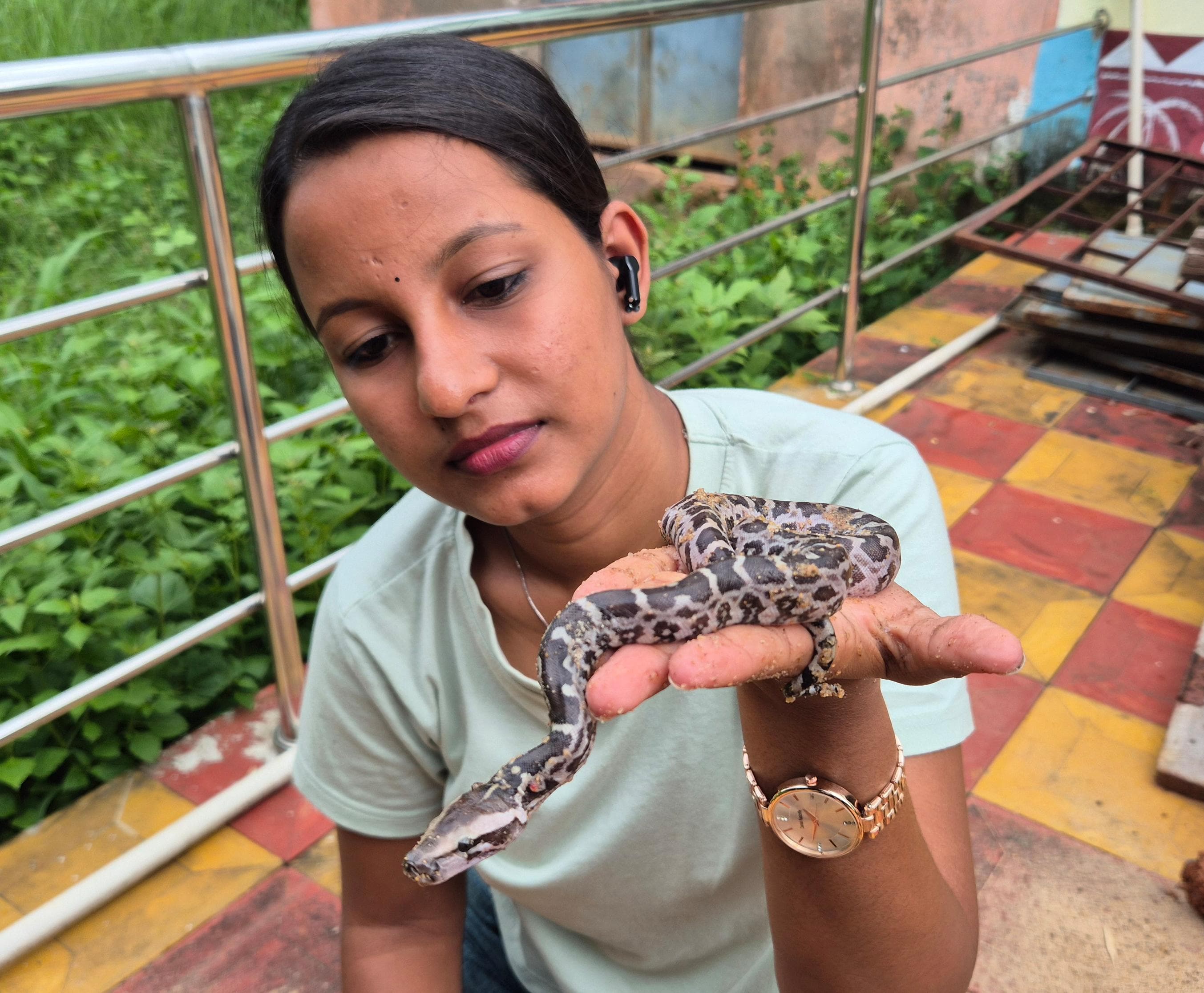 DHENKANAL WILDLIFE RESCUE