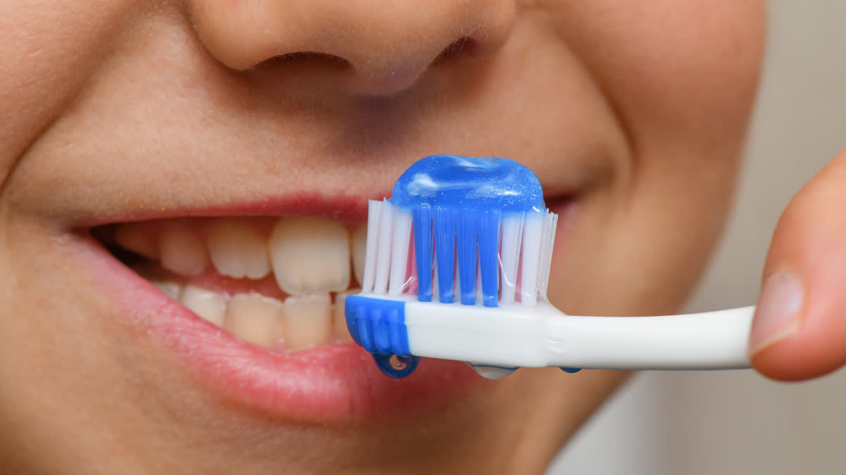 Do you use non veg toothpaste every morning? TOOTHPASTE VEG OR NON VEG Know with these easy tips! Urdu News