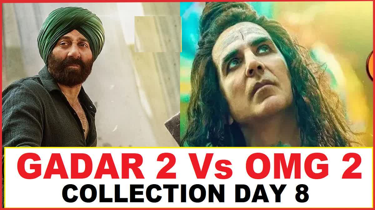 Gadar 2 Vs OMG 2 Collection Day 8