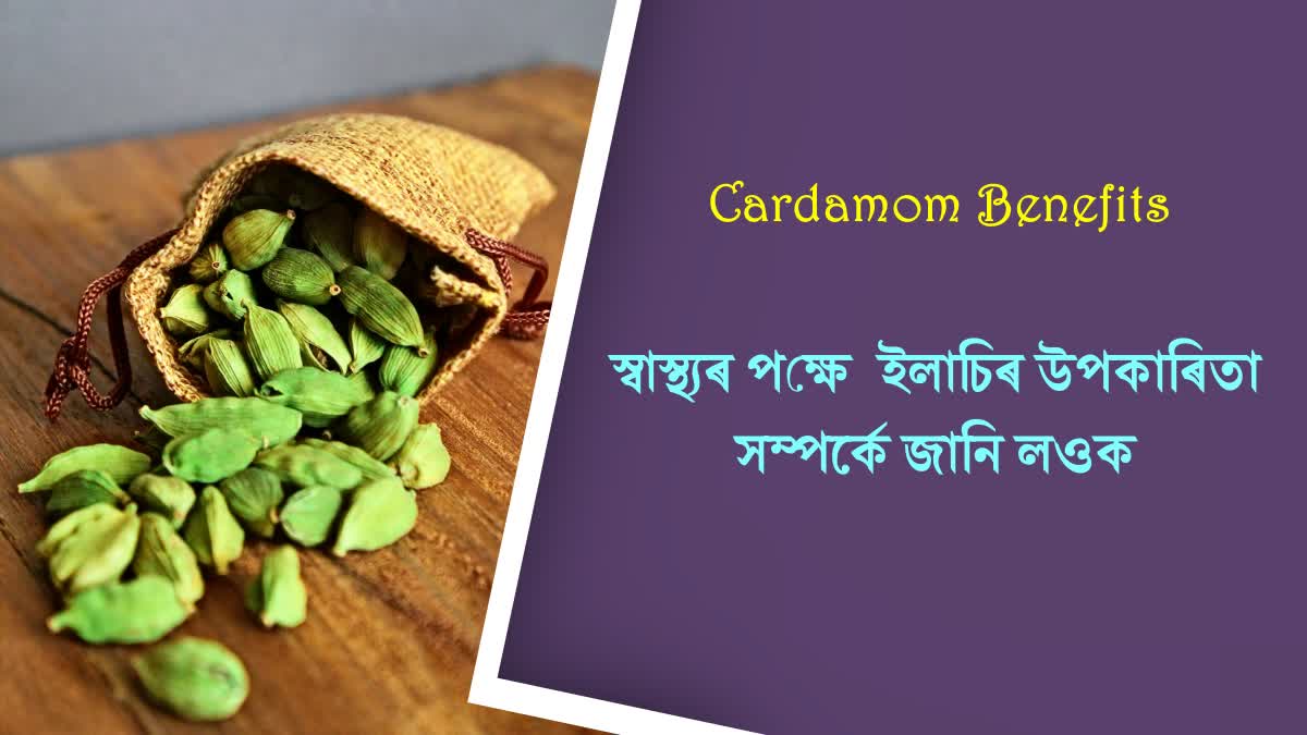 From controlling weight gain to improving digestion, know the best benefits of cardamom