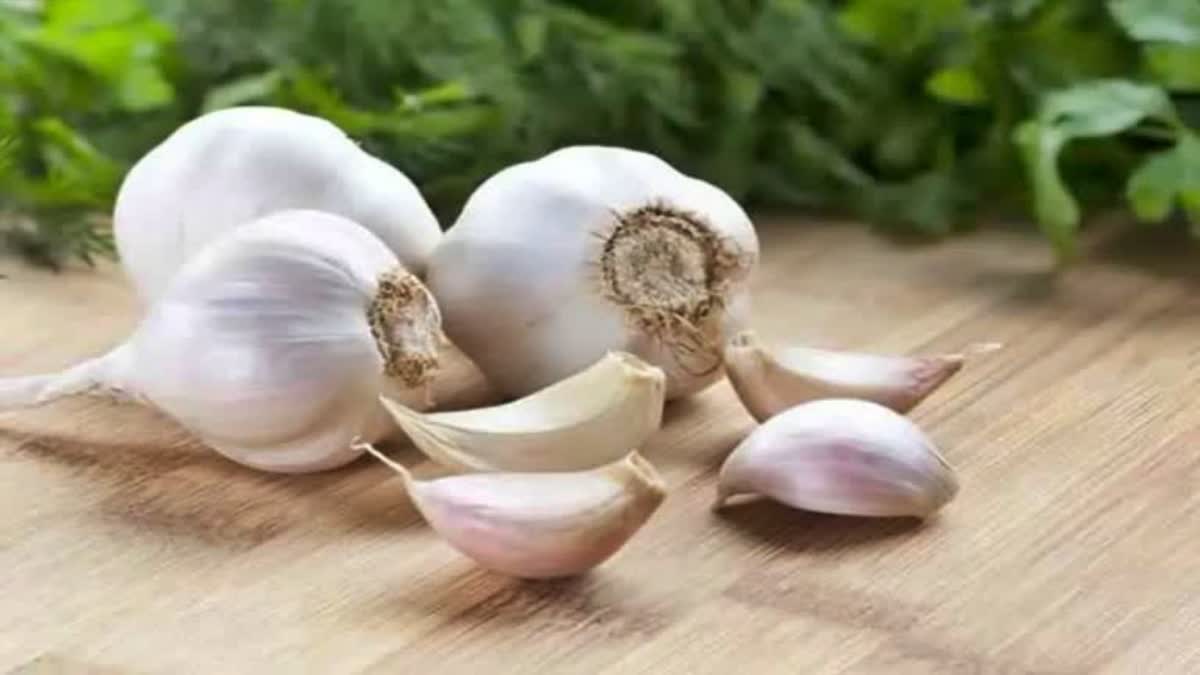 Garlic Benefits