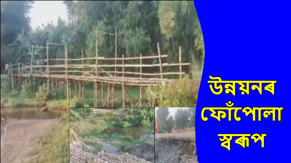 Arunachali people make bamboo bridge in Gahpur