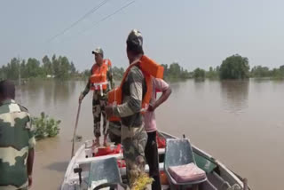 The flood water caused havoc in Ferozepur