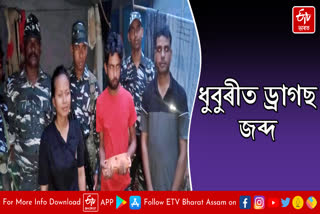 Smuggler arrested with drugs in Dhubri