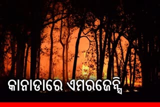 Canada wildfires: ବ୍ରିଟିଶ କଲମ୍ବିଆରେ ଏମରଜେନ୍ସି ଲାଗୁ