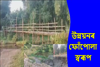 Arunachali people make bamboo bridge in Gahpur