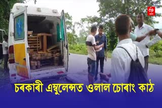 Illegal Timber Seized From an Ambulance at Mariani