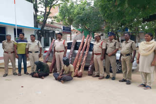 Red_Sandalwood_Smuggling_Gang_Arrested