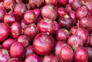 Govt imposes 40% export duty on onion to improve local supplies