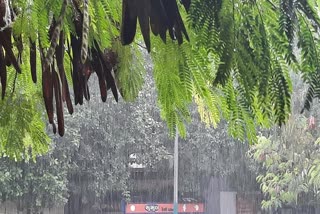 Gujarat Rain Update : આગામી 7 દિવસ રાજ્યમાં વરસાદી માહોલ રહેવાની હવામાન વિભાગની આગાહી