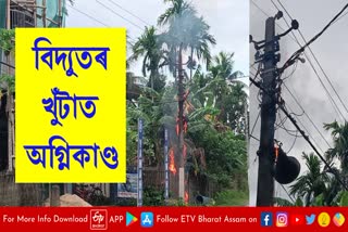 Fire breaks out at electricity pole in Sarupathar