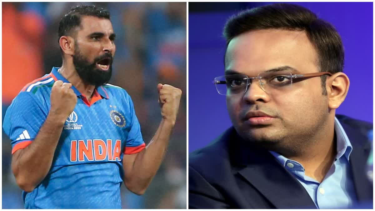 Jay Shah on Mohammad Shami Comeback