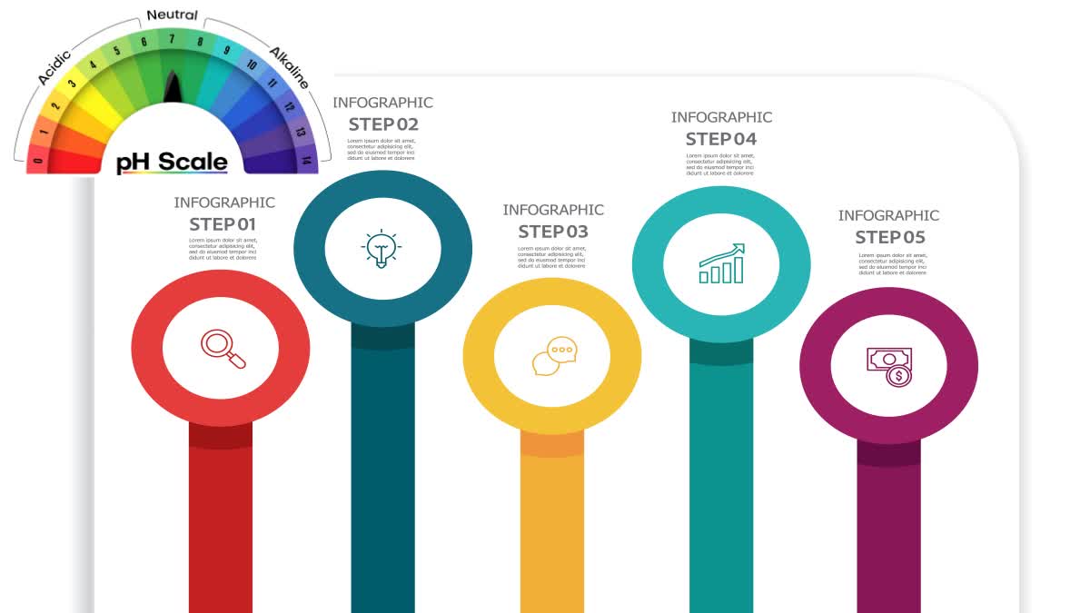 Best AI Tools For Infographics