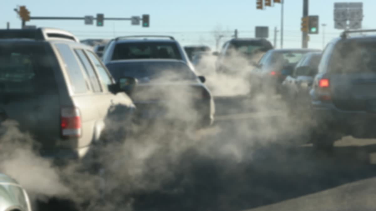 Particulate Matter Pollution