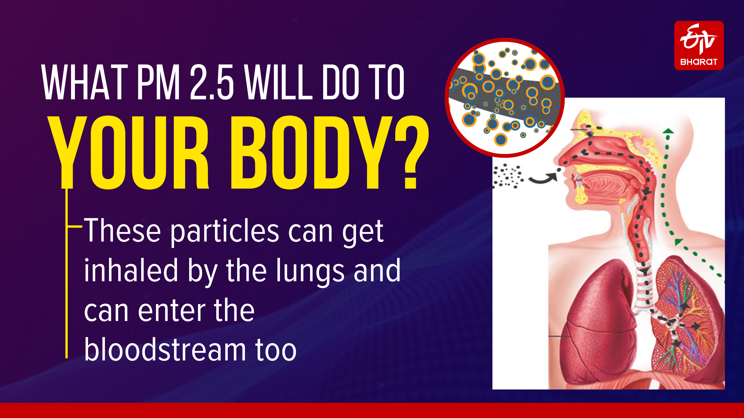 Harmful effects of particulate matter 2.5