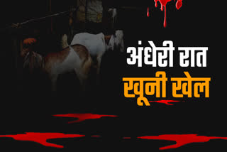 BALAGHAT MURDER OF GOATS