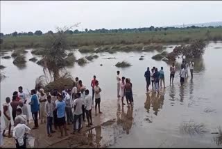 MAN DIED AFTER DROWNING,  GAMBHIRI RIVER IN BHARATPUR