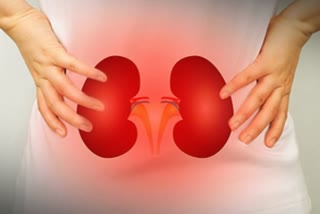 keep Your Kidney fit