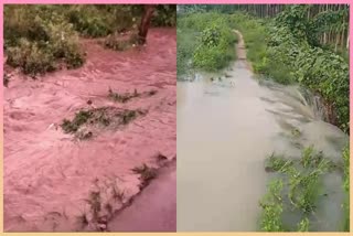 crop-damage-due-to-heavy-rainfall-in-chikkamagaluru