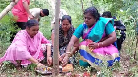 JABALPUR WOMEN TIED RAKHI ON TREES