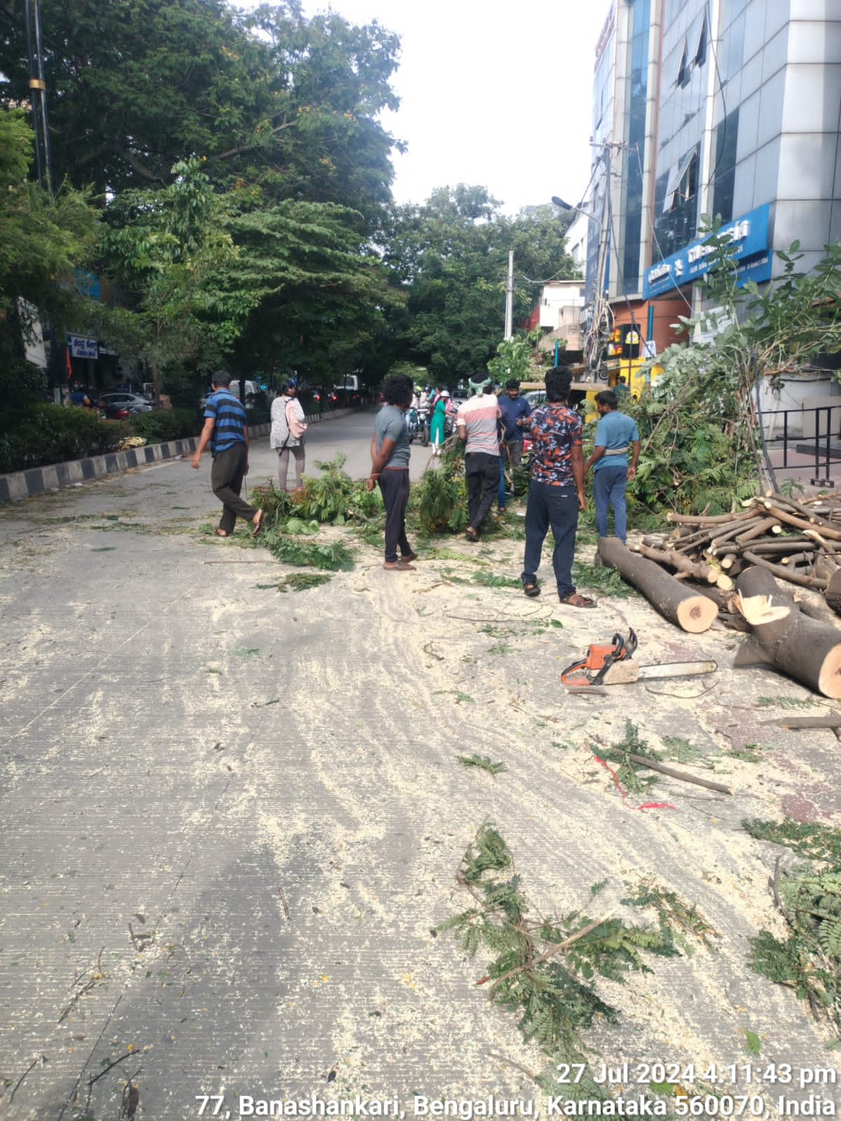 clearing of trees