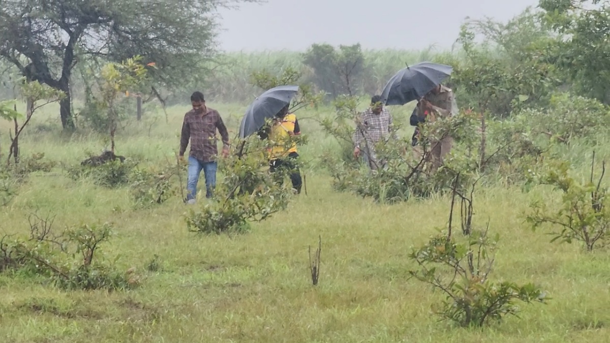 Leopard terror in Surat