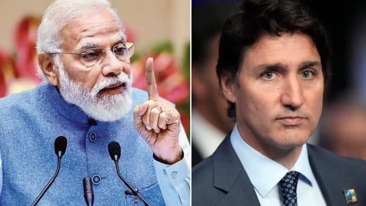 India rejects Canadas allegation