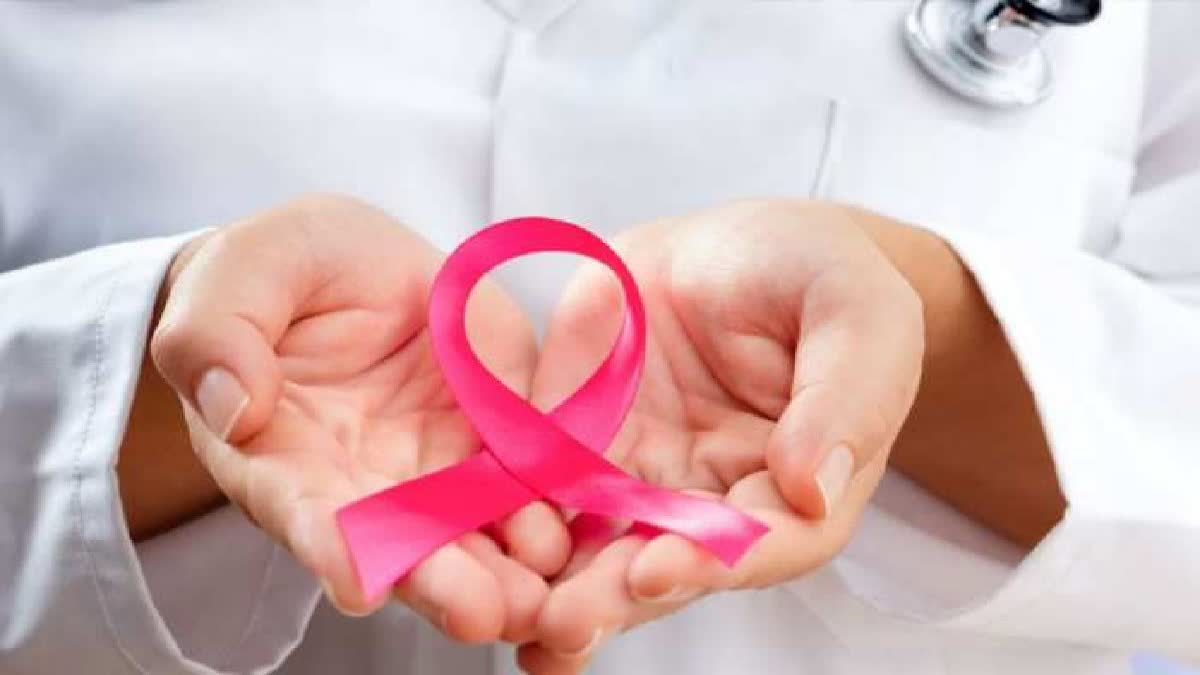 Etv BharatWorld Gynecological Oncology Awareness Day