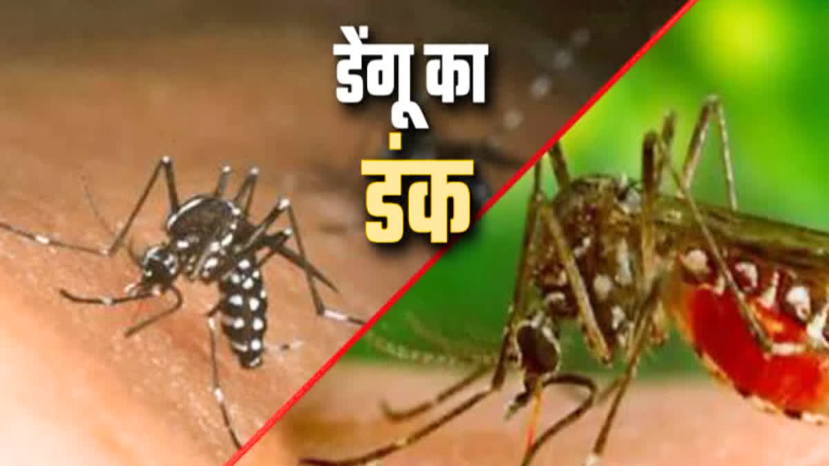 Dengue in Gwalior