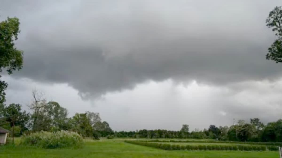 Gujarat Rain Forecast : ગુજરાતમાં લો પ્રેશર સિસ્ટમ સક્રિય થતાં હજુ પણ ભારે વરસાદની આગાહી