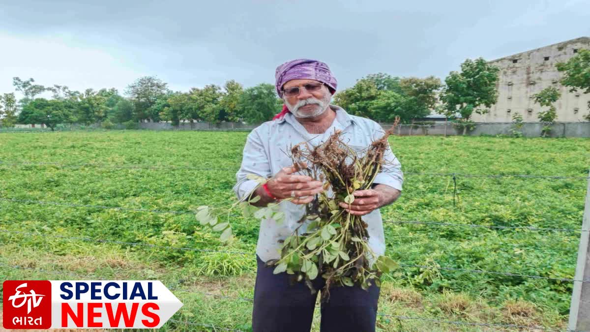 Banaskantha Farmer Issue