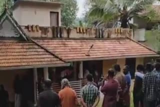 ഏഴു വയസുള്ള മകനെ കൊലപ്പെടുത്തി  Father Killed Son and Committed Suicide  Pathanamthitta Murder  Pathanamthitta Father Killed Son  മകനെ കൊലപ്പെടുത്തി പിതാവ് ജീവനൊടുക്കി  Father Killed his 7 Year Old Son  Father Killed his Son and Committed Suicide