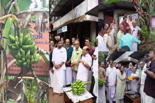 Twenty Eight Thousand rupees for bunch of banana  banana planted by replacing yellow stone k rail  replacing yellow stone k rail in thiruvalla  k rail  Protesters to harvest banana cultivated  മഞ്ഞക്കുറ്റി പിഴുത് നട്ട പൂവൻവാഴ കുലച്ചു  കുല ലേലം ചെയ്‌ത തുക തങ്കമ്മയ്ക്ക് വീടൊരുക്കാൻ  28000 രൂപയ്ക്ക് പൂവൻ വാഴക്കുല ലേലത്തിൽ  കെ റെയില്‍  കെ റെയില്‍ വേണ്ട കേരളം വേണം  കെ റെയില്‍ സില്‍വര്‍ ലൈൻ വിരുദ്ധ ജനകീയ സമിതി  കെ റെയില്‍ വിരുദ്ധ സമരത്തിന്‍റെ ഭാഗമായി വാഴ നട്ടു  Anti K Rail protesters plucked the yellow stone  Anti K Rail protesters planted bunch of banana