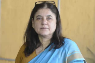 Special Parliament session: New Parliament reflects aspirations of a new Bharat, says Maneka Gandhi