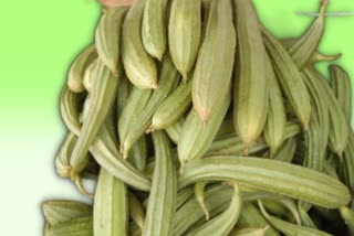 Ridge Gourd Health Benefits News