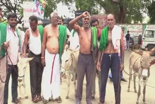 mandya-farmers-held-donkeys-march-for-cauvery-water-dispute