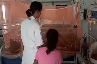 डीएमसीएच में भर्ती डेंगू के मरीज