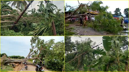 Heavy storm in Karbi Anglong