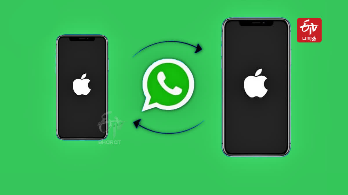 transfer old apple iphone whatsapp data to new iphone 16 article thumbnail